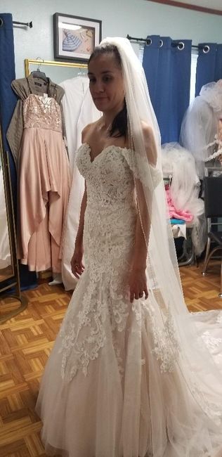 Dress fitting 1