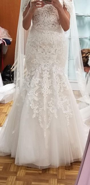 Dress fitting 2