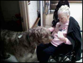 Keeping my mind of my wedding...Show me your dog:)!!**Pics