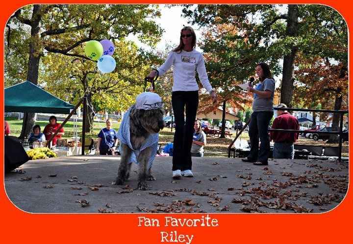 Keeping my mind of my wedding...Show me your dog:)!!**Pics