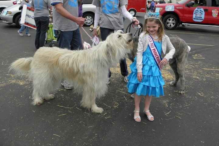 Keeping my mind of my wedding...Show me your dog:)!!**Pics