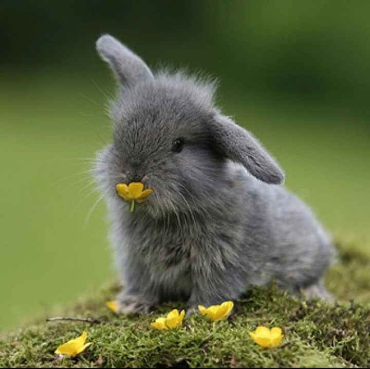 Tell Me Something Good!