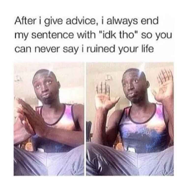 NWR: Memes & Cute Animal Pictures