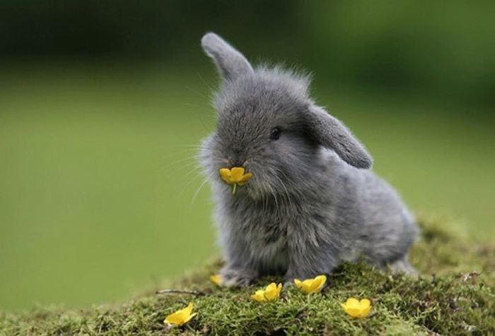 Cutest Thing You'll See All Day