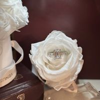 2024 Brides - Show us your ring! - 1