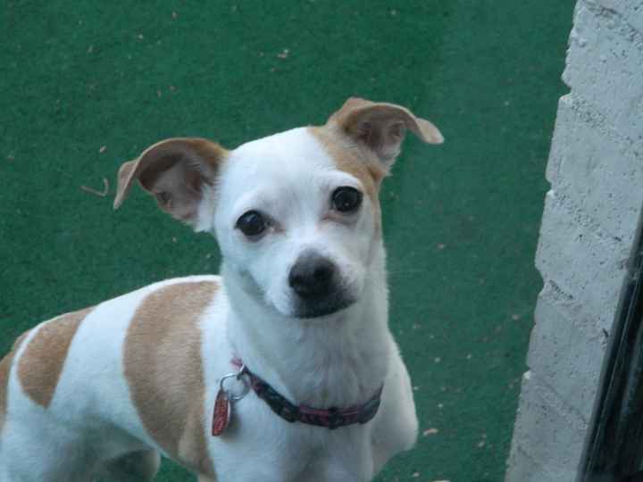 NWR: Traveling with Fur Babies (Pics)