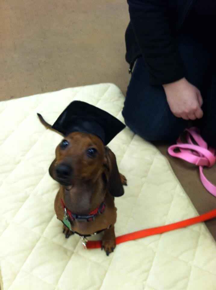 NWR: Traveling with Fur Babies (Pics)