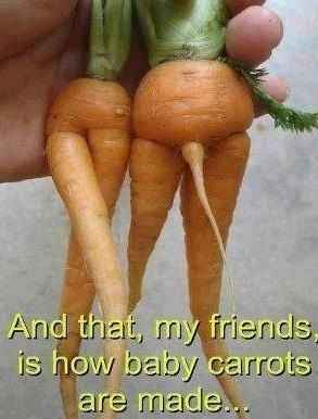 NWR- WTF Wednesday! A Discussion and Meme Thread