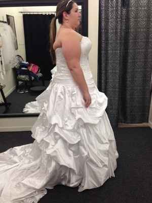Dress fitting went well!!*Pics!*