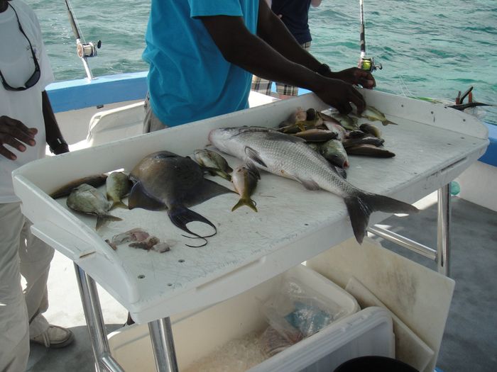 "Deep Sea Fishing" excursion on a cruise?