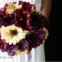 I cannot decide my colors!!! Help me :'(