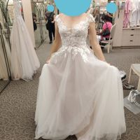 Thoughts on a cape and veil combo? - 1