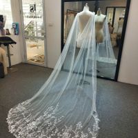 Thoughts on a cape and veil combo? - 3