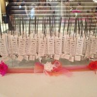 I am now Mrs. Sarah Lee *with nonpro pix* :)