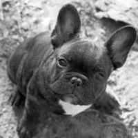 Show off your furbabies!