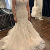 Wedding dress distress - 1