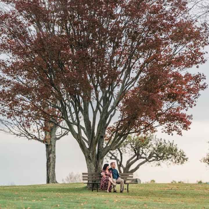Engagement Photo Props??