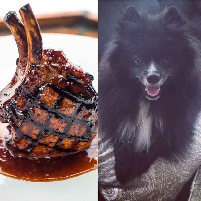 NWR: Pet Owners...Can we play a fun game? :D