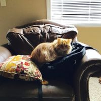 The line of 1000+ people