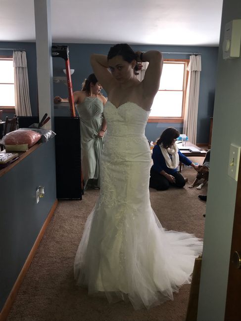 Wedding Dress- Azazie 2