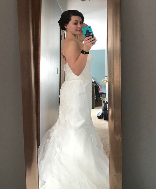 Need opinions on my dress, two weeks out! 3