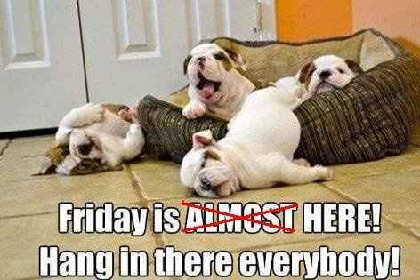 It's Friday!  Hit me with your best shot!