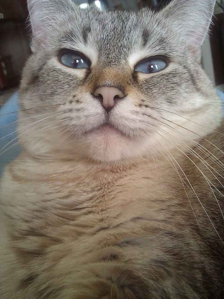 Just for fun, lets see your crazy pet child....