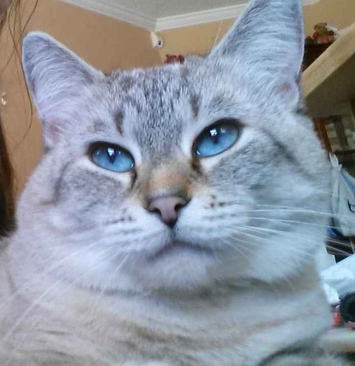 We havent had a pet post in a minute.