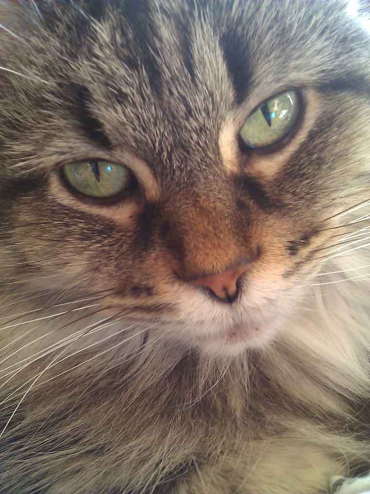 We havent had a pet post in a minute.