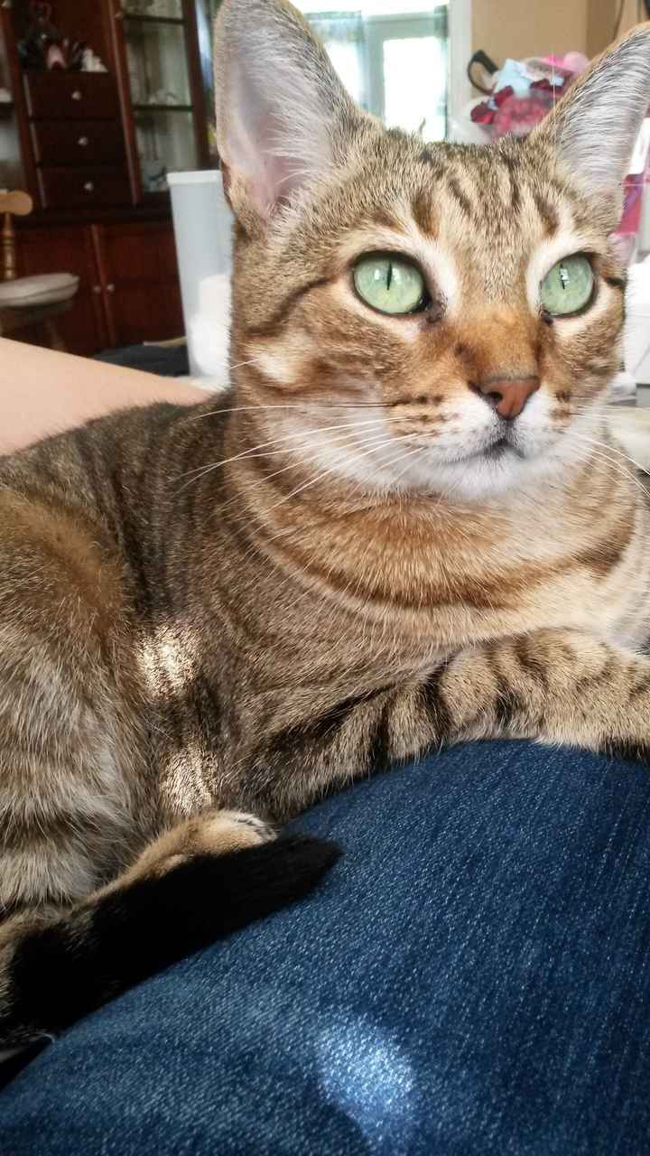 We havent had a pet post in a minute.