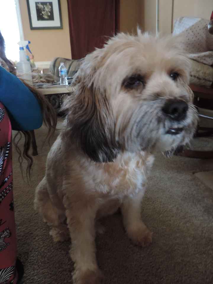 We havent had a pet post in a minute.
