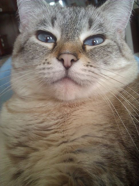 Just for fun, lets see your crazy pet child....