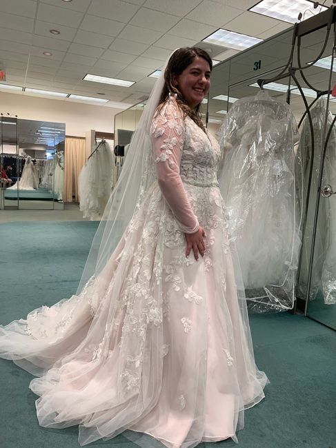 Which wedding dress - 2