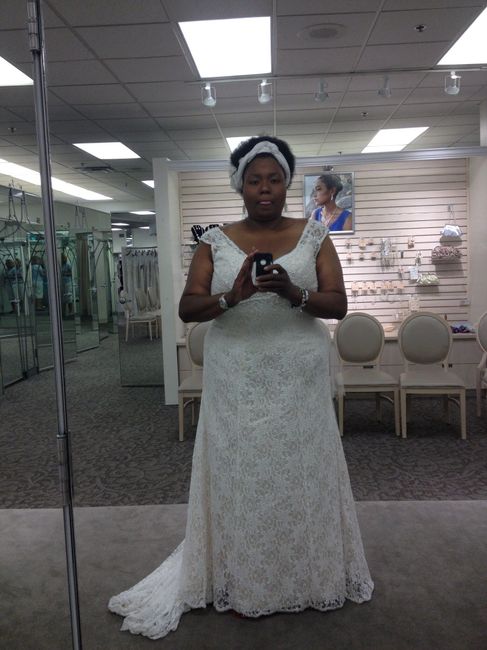 plus size brides - as in size 24 up, what dress sillouette did you pick? please show pics!