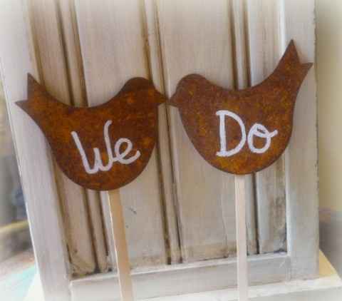 What are you using as