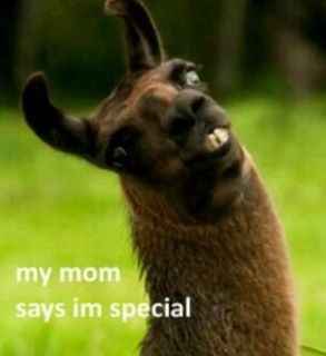 shower guests not invited to the wedding