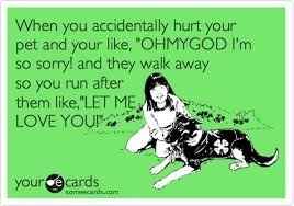 NWR:  Feel like an awful Mommy.  (Dog/puppy owners and vets/vet assistants.. help!)