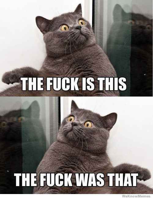 Wedding planner needed!!!