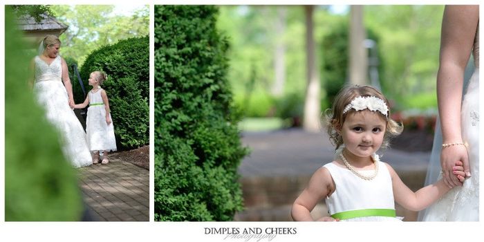 Flower Girl-zilla! Need help finding a dress