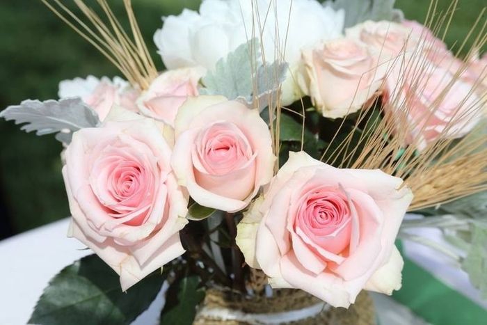 Country Chic decor Help