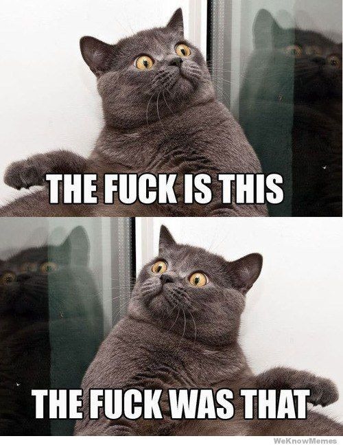 Wedding planner needed!!!