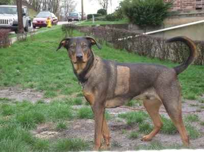 NWR: Lets see our pets!!