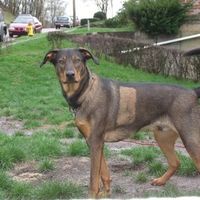 NWR: Lets see our pets!!