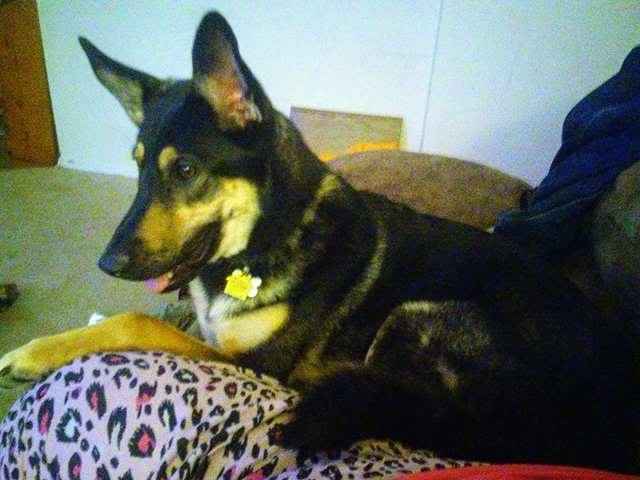Come see my new dog!  and blah blah somthing about stds...