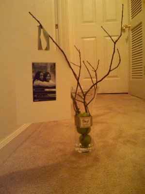 On a search for Manzanita Branches...Can you help?