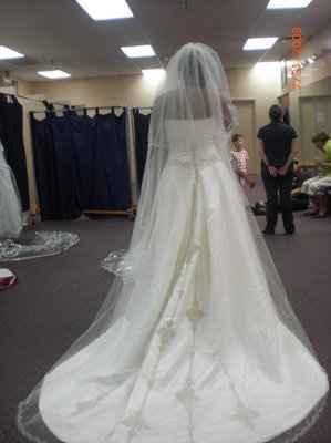 Not your dream dress (pic heavy)