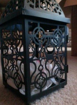 DIY Update*PIC Heavy*