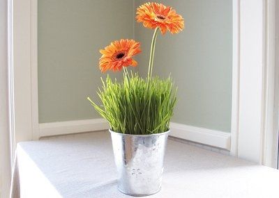 Unique Centerpiece Ideas?