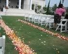 Aisle Runner or Rose Petals