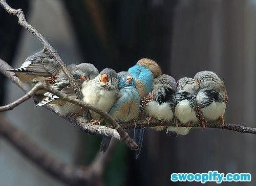 AWWWWWW